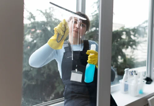 Nettoyage de vitres intérieures et extérieures à Soueix-Rogalle